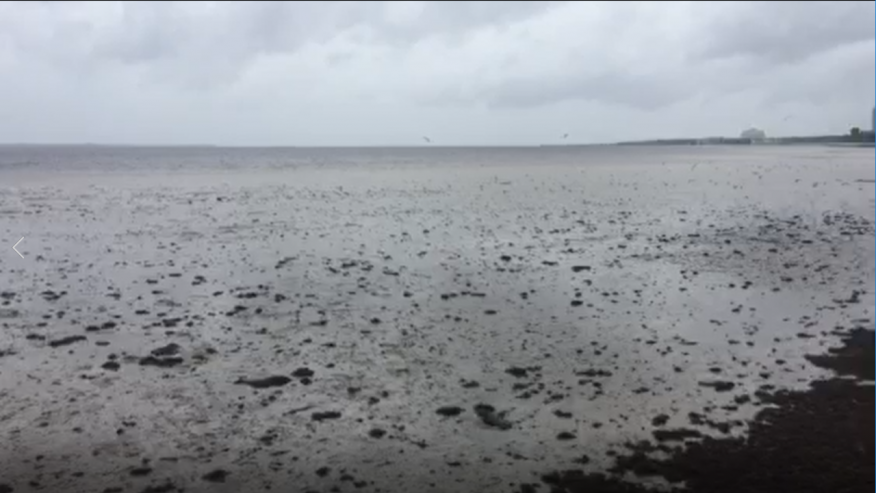 Biblical Proportions