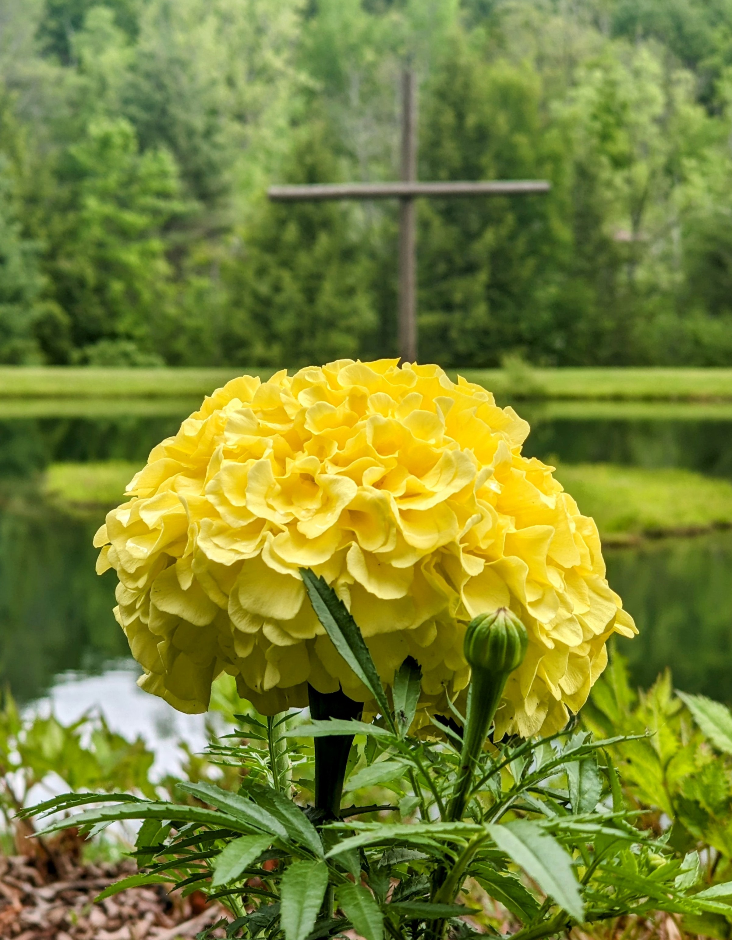 Value in Joy and Sorrow