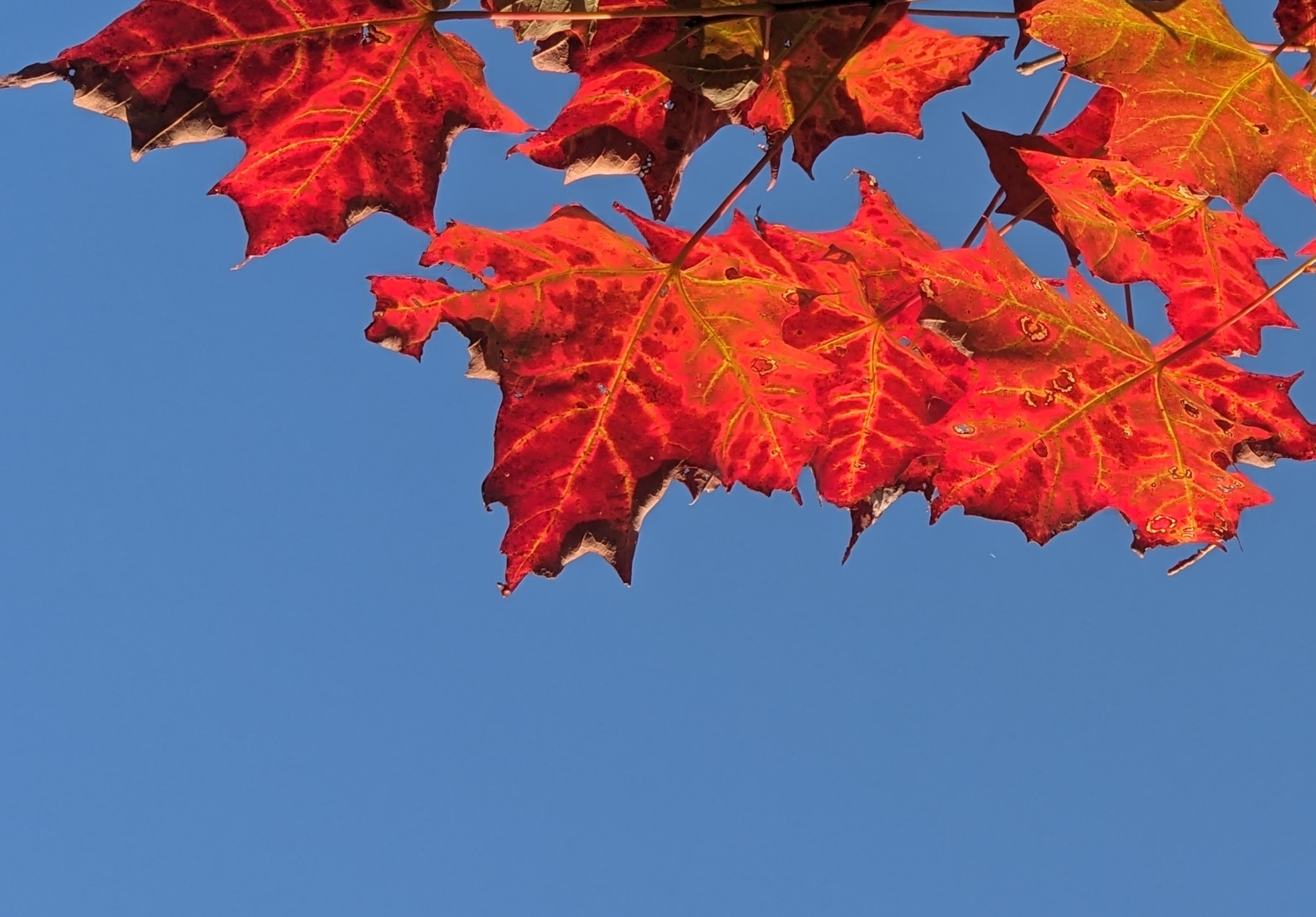 A Perfect Good Morning